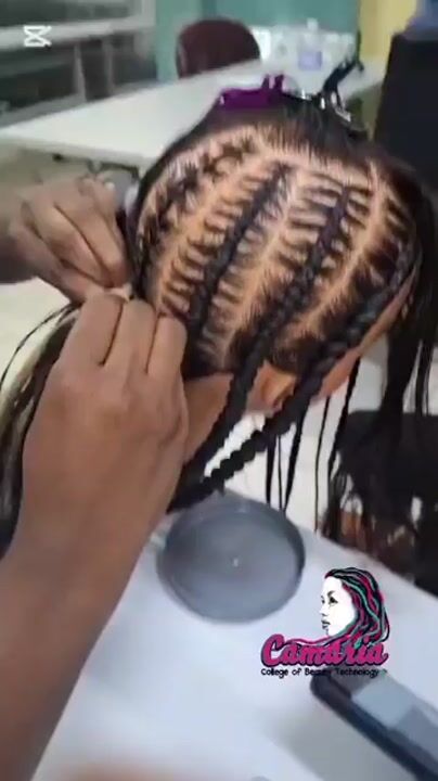 Professional Braiding Program video 1